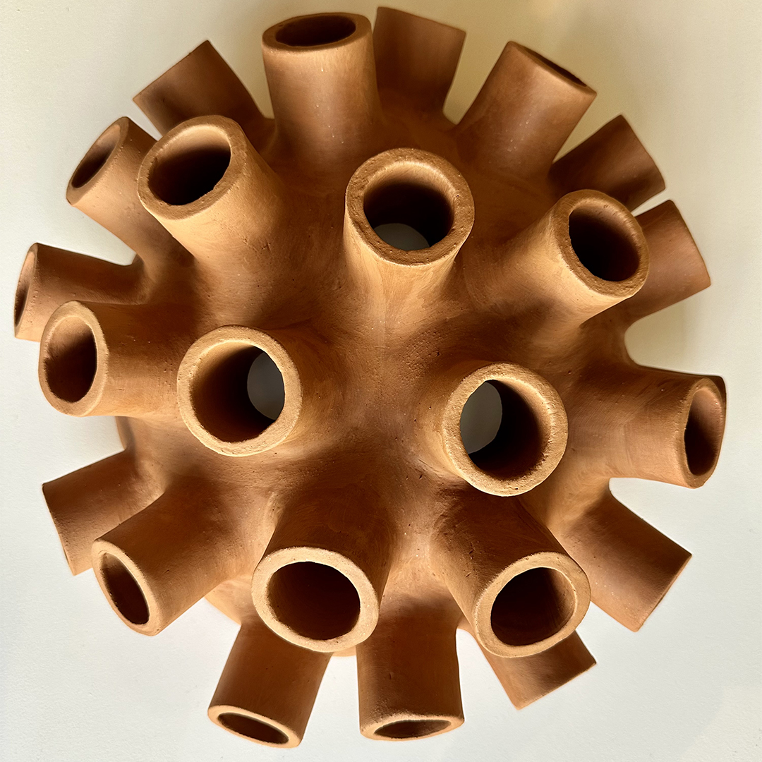 romain-roche_anemone